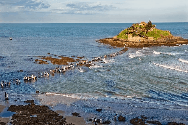 Con đường đá trên biển kỳ lạ nhất Vũng Tàu